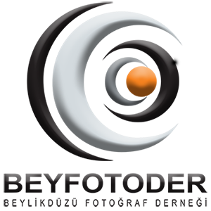 Beylikdüzü Fotograf Derneği